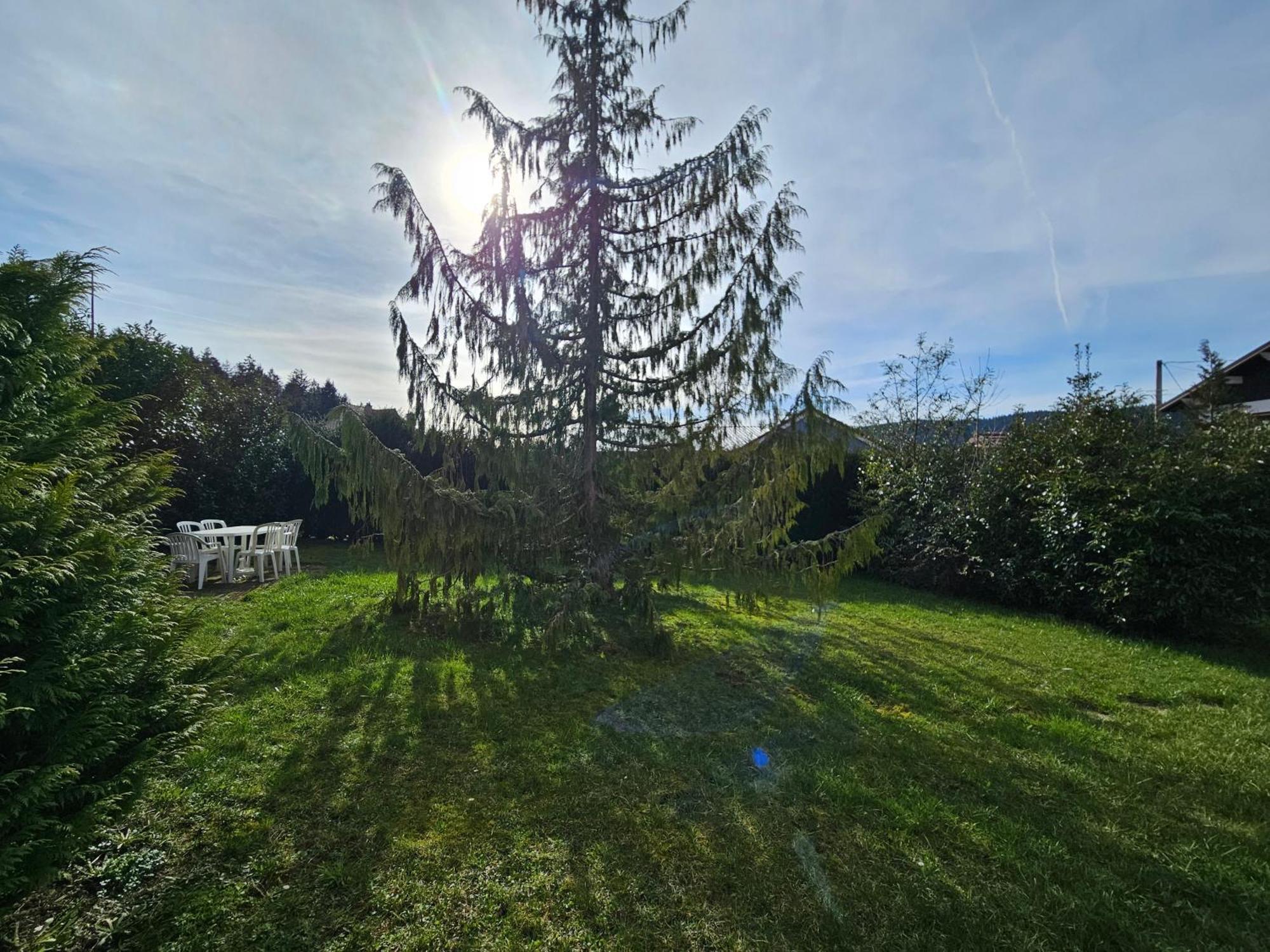 Appartement Chaleureux Gerardmer Proche Foret 外观 照片